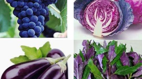 5 Macam Buah Dan Sayur Berwarna Biru Dan Ungu Mampu Meningkatkan Produksi Sel Darah Merah Dan Darah Putih