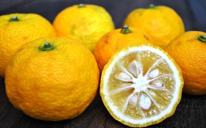 Manfaat dan Khasiat Buah Yuzu untuk Kesehatan dan Kecantikan