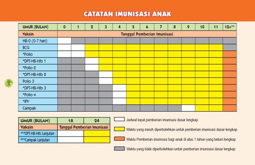 Jadwal Imunisasi Bayi Usia 0-18 Bulan Terbaru