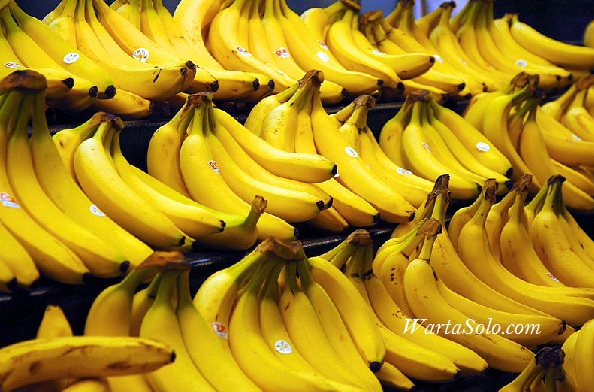 Harga Pisang Ambon Terbaru