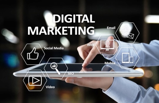 Ketahui Manfaat Mengikuti Training dan Sertifikasi Digital Marketing